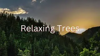 Forest of life, 