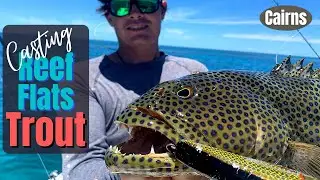 Casting Reef Flats for Coral Trout - KFC Fish (catch & cook)