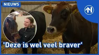 Lieke rijdt eindelijk op een pony