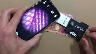 DIPLE Lux