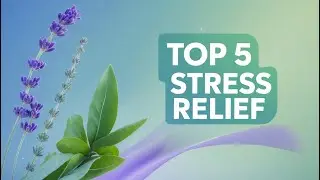 Top 5 All Natural Supplements for Stress Relief