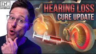 Can Hearing Loss Actually Be Cured? Here’s Where We Stand