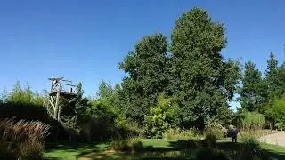 Spectacle des oiseaux zoo de la fleche 2020