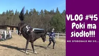 VLOG #45 |  Poki ma siodło!!!
