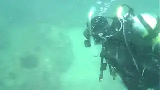 MB 72  Fish America Reef