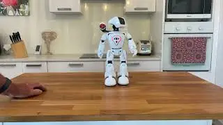 Hydropower Hybrid RC Robot with Missile Launching Cannon