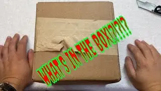Box Opening Watch Gang CEO Mystery Box From Watch Gang Wheel Of Watches!