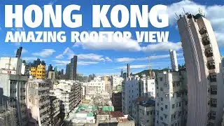 WALKING HONG KONG | AN INCREDIBLE VIEW FROM A KOWLOON ROOFTOP | ASMR BIRD SONG