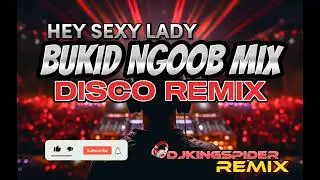 HEY SEXY LADY NONSTOP NGOOB REMIX/#DJKINGSPIDER REMIX