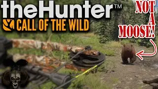 Find Moose Use Crossbow, Easy Right? The Hunter Call of The Wild