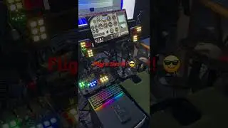MSFS 2024 Flight Sim
