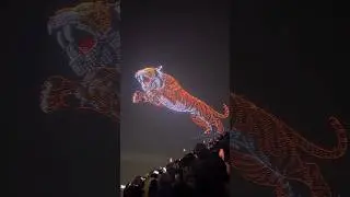 Mysore Dasara Drone Show 2025 | #patakiprateeksha #mysurudasara2025 #droneshow