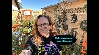 Maintaining a small space garden and a small harvest.