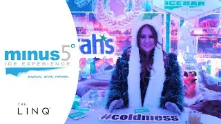 minus 5 ICEBAR-Linq Las Vegas | The Coolest Experience!
