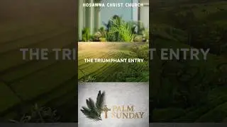 PALM SUNDAY COMING SOON #holyspirit #god #jesus #life #love