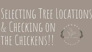 Planting Trees Soon! Selecting location & Checking on Chickens!