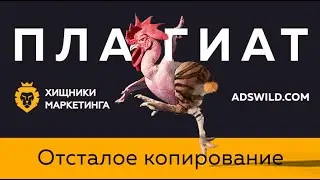 Отзыв о adswild  