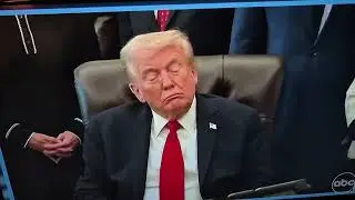 Sleepy Don. 