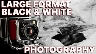 Shooting Black And White Film With A 4x5 Camera - Linhof Master Technika & Kodak Tri-X