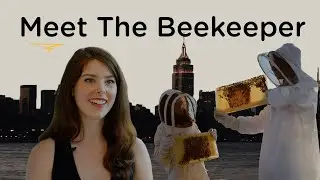 Brooklyn couple discover a sense of calm with rooftop beekeeping
