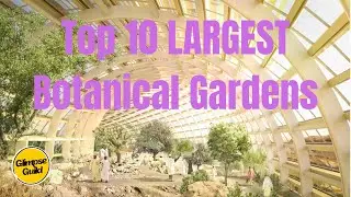 Top 10 Botanical Giants: Largest Gardens in the World