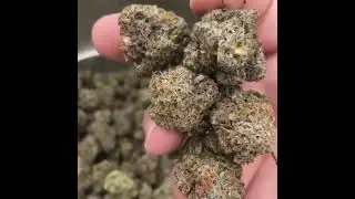 Dankvape.org