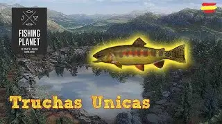 Gu&iacute;a Definitiva: Pesca de Trucha Cutthroat y Dorada &Uacute;nica en Lago Rocky - Fishing Planet