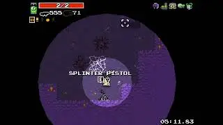 Nuclear Throne: Successful Melting B-Skin Run, Crown unlock, and Rogue Unlock
