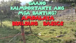 Banting Basics : More Fun at the Farm