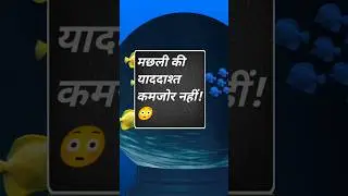 GK QUESTION ANSWER + EXPLAIN #gk #shortvideo #shorts #short #trending #viral #4k #youtubeshorts
