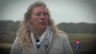 Realdania By og Byg - Klimasikring