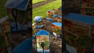 Protecting Plants from Frost