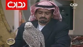 أنواع الصقور - عبدالرحمن الشمري | #زد_رصيدك87