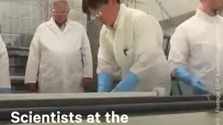 Scientists extracted nuclear fuel from sea water
