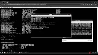 How to use Powershell Empire & Metasploit to hack into a network.