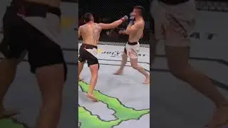 maxholloway blessedmma #ufc #knockout #mma #like #shorts