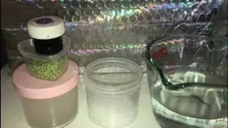 The Perfect Snow Fizz Slime Tutorial!