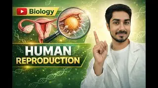 BSEB VVI  12th objective 2026_ Human Reproduction #most #vvi #question #answer #boards #neet