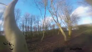 Forest flow endurance run on a new spot