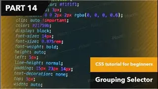 CSS tutorial for beginners|tutorial #14|Grouping selector