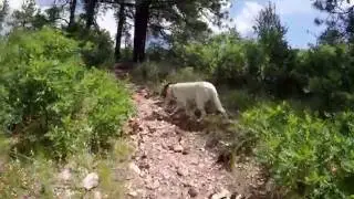 Hiking up to Lookout Point - Pueblo Mountain Park - Mace's Trail.