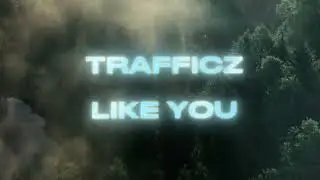 Trafficz - Like You (Official Video)
