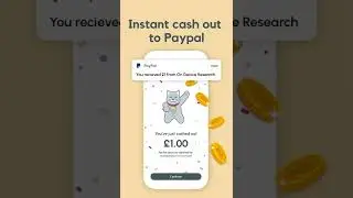 Curious Cat: Money for Surveys