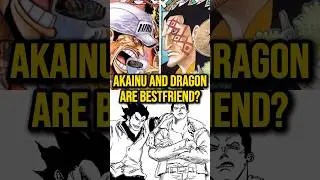 Akainu and Dragon Are Best Friends?