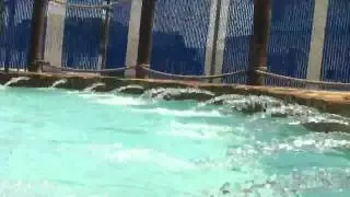 Summer Fun !