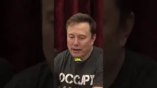 Самые дорогие покупки Илона Маска!
