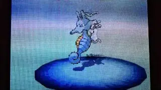 How to catch Kingdra
