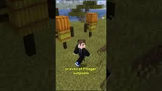 Finding Pumpkins in  #minecraft #minecraftsurvival