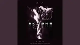 Sk&aelig;bne