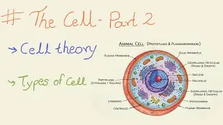 Cell Biology | Cell theory & Types of cells |
